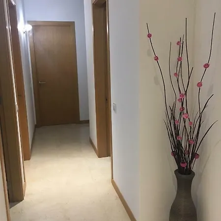 Aleixo's Terrace Penthouse Διαμέρισμα