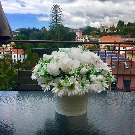 Aleixo's Terrace Penthouse