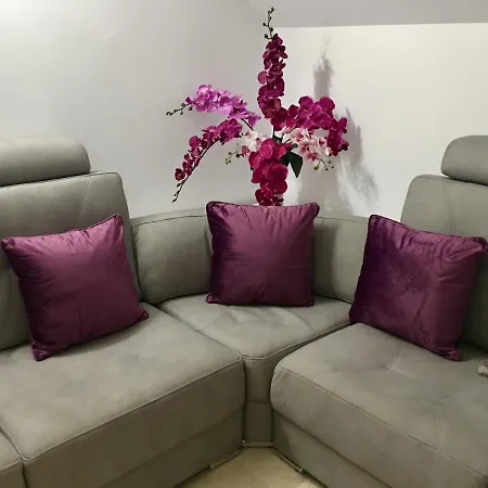 Aleixo's Terrace Penthouse
